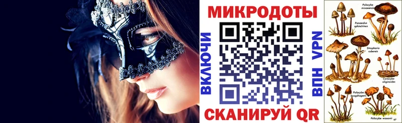 Галлюциногенные грибы Magic Shrooms  Купить где  Малая Вишера 